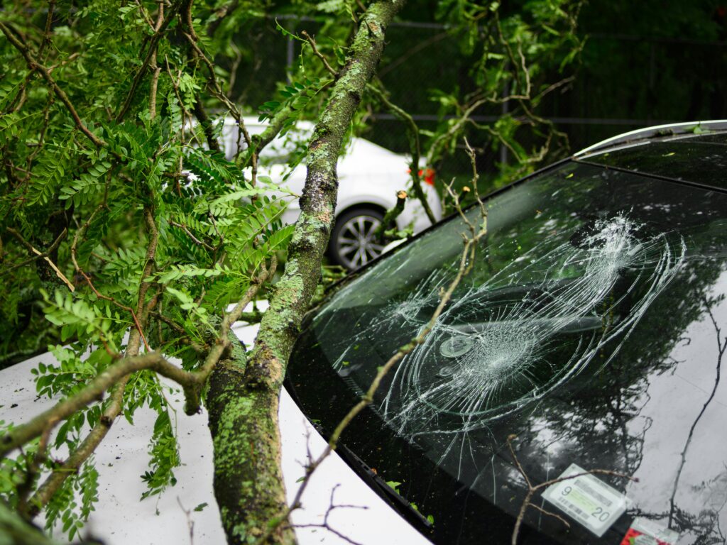 Fallen tree branch on white car with broken windshield