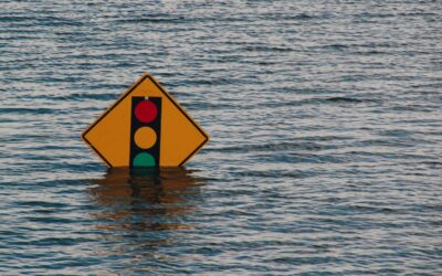 Natural Disasters on the Rise: Preparedness Tips for Businesses